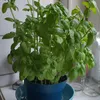 nonameforju