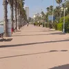 parisrani1