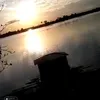 _fernandoms