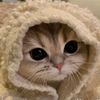 123winepu