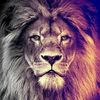 vinod6king