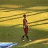 _alexandronesta