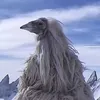 bizzlestoks