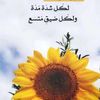 nawa_334