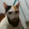 ohhboy26