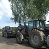 leevihauki