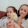 userk8dxodhhhk