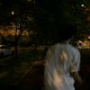 sshiekhsaab_ooo