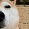 tienphuocvo