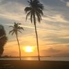 _judster732