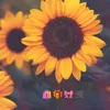 _mireya44