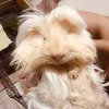 eymi_fan