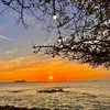 hoamattroi_97