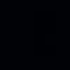 holi05885