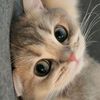 user7yh03izlgw