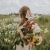 dandelion00100