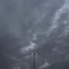 alb2_3