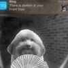 curated_nest