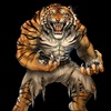 tiger_claw_234