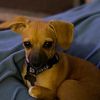 kashpuppy00