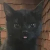 blvckspirit69