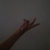 sherby_1