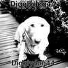 digglydog44