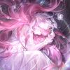 am.loer