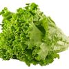 justhavethelettuce