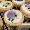 prettydelishcookies