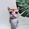NiKOMiNi