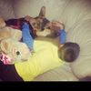 ambrose_murray