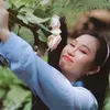 sakura_trinh