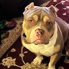 bigdave18570