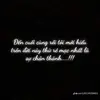 vl.tinh_ieu