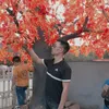 hoangsonbelike