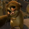 mort_312