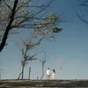 loveifa