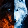 alpha0_99