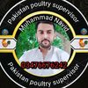 maliknaweed38