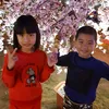 binhdinh764