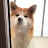 usernametobrak