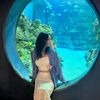 ashley___123