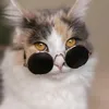 cyntiaa1234