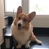 embecharlie