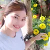 .linh330