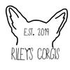 rileyscorgis