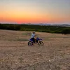 chams_943