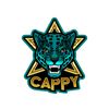 cappyfj