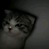 chueyeikhlwar68